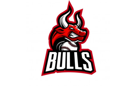 Bulls Lançon de Provence